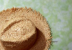 ジーンズメイト竹下通り店の魅力と店舗情報：東京・原宿エリアで気軽にファッションを楽しむ